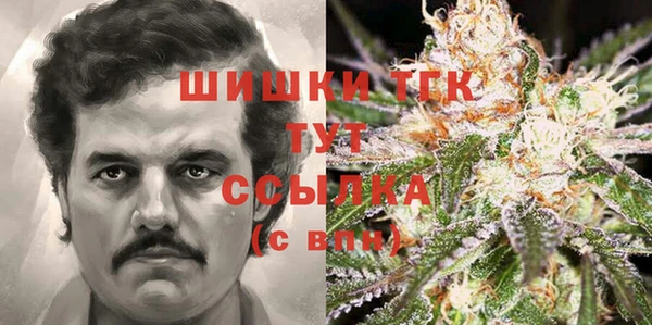 шишки Алексин