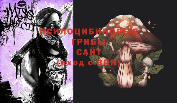 первитин Алексеевка