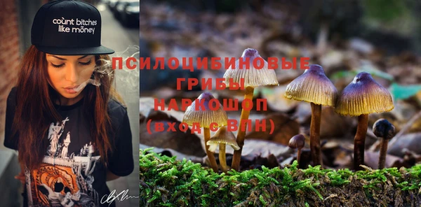 mdpv Сатка