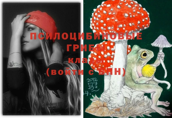 первитин Алексеевка
