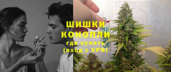 шишки Алексин