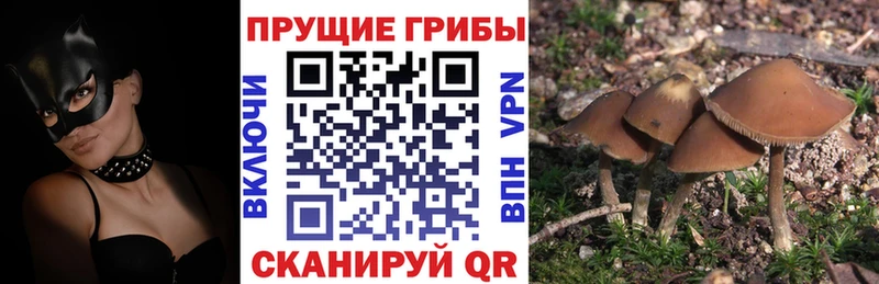 где найти наркотики  KRAKEN ССЫЛКА  Псилоцибиновые грибы мицелий  Ейск 