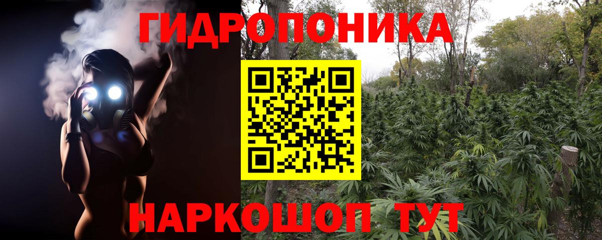 Каннабис LSD WEED  Шишки марихуана AK-47  Конопля LSD WEED  Канабис планчик  Вход с VPN  Ейск 